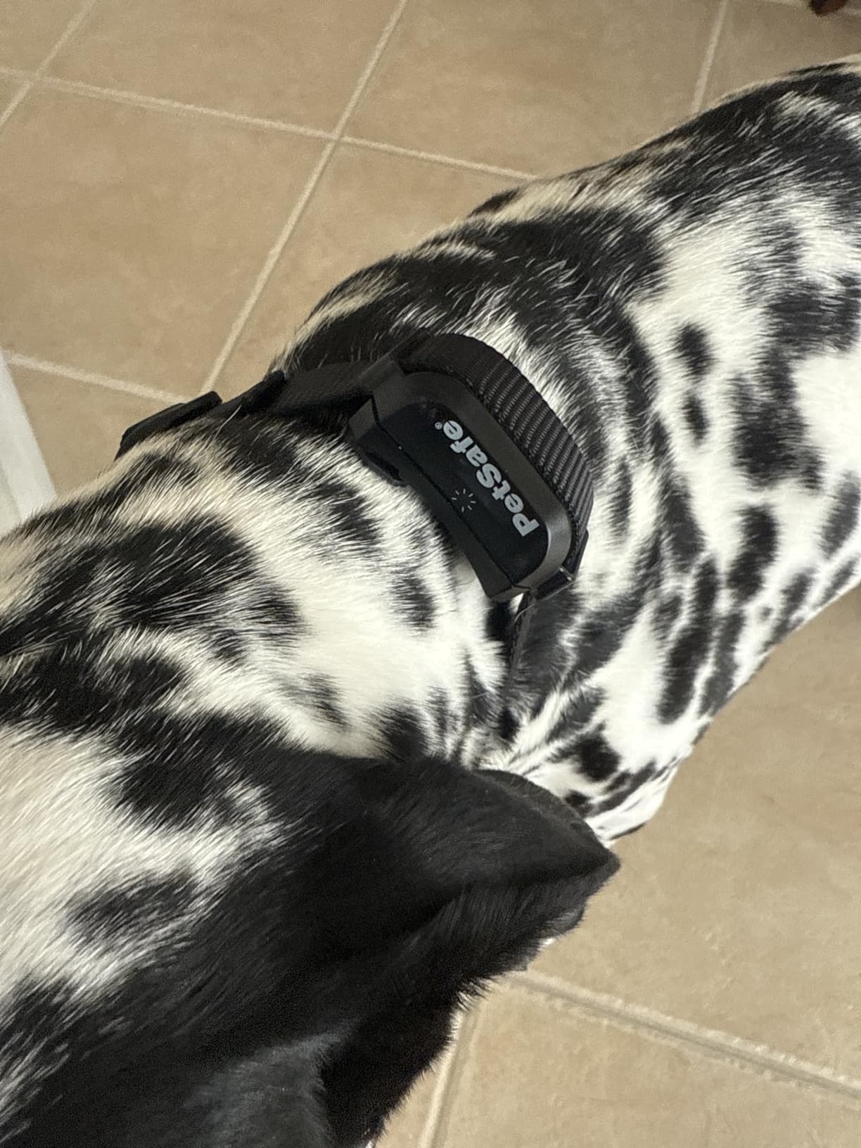 Product Customer Review Product - Customer Photo 1