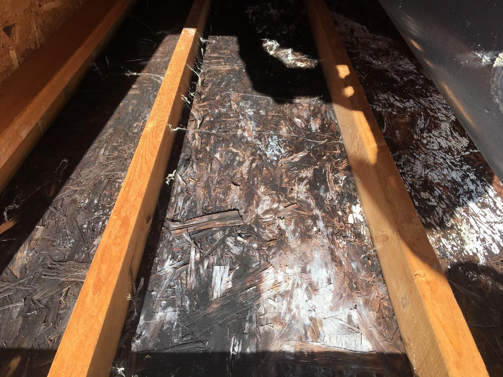 Bio Shield Antimicrobial Protection UV Light for AC System, Cleans HVAC Ducts and AC Coils of Bacteria, Germs, Mold and Allergens, Complete Unit, 50-BUVAS-E Customer Review Bio Shield Antimicrobial Protection UV Light for AC System, Cleans HVAC Ducts and AC Coils of Bacteria, Germs, Mold and Allergens, Complete Unit, 50-BUVAS-E - Customer Photo 1