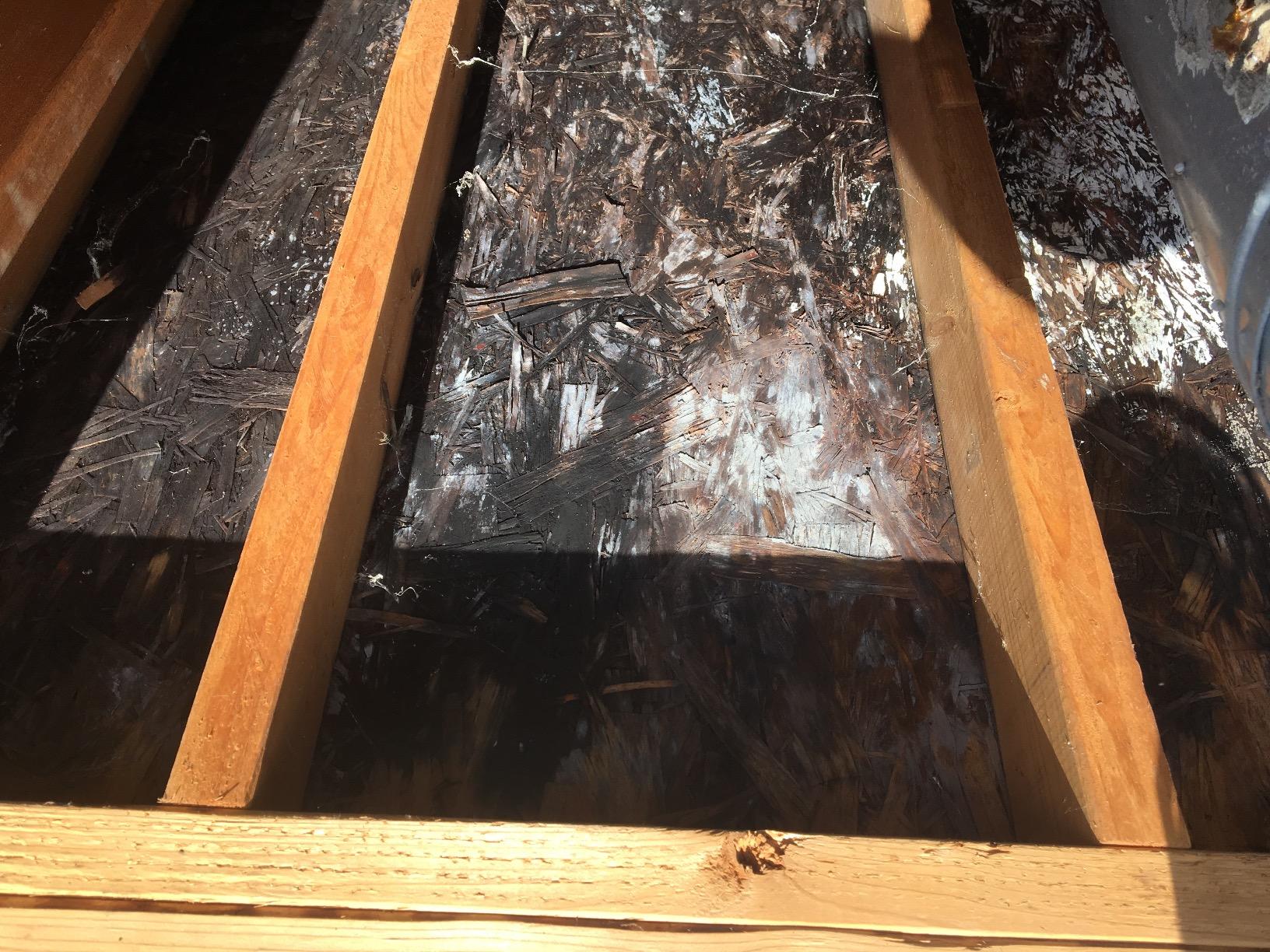 Bio Shield Antimicrobial Protection UV Light for AC System, Cleans HVAC Ducts and AC Coils of Bacteria, Germs, Mold and Allergens, Complete Unit, 50-BUVAS-E Customer Review Bio Shield Antimicrobial Protection UV Light for AC System, Cleans HVAC Ducts and AC Coils of Bacteria, Germs, Mold and Allergens, Complete Unit, 50-BUVAS-E - Customer Photo 2