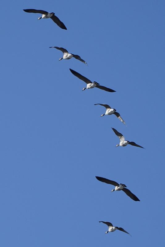 Sony SELP18105G E PZ 18-105mm F4 G OSS Power Zoom Lens Customer Review Sony SELP18105G E PZ 18-105mm F4 G OSS Power Zoom Lens - Customer Photo 5