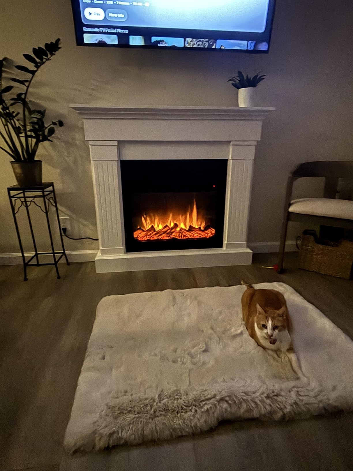 Real Flame Crawford 48