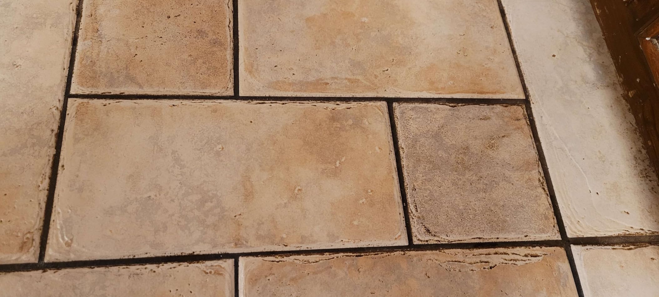 McCulloch MC1385 Deluxe Canister Steam Cleaner, 2-Hour Runtime, Chemical-Free, 23 Accessories: Mop Head, Brushes & More - Built for Home, Tile, Carpet, Furniture, & Personal Car Detailing - Customer Photo 2