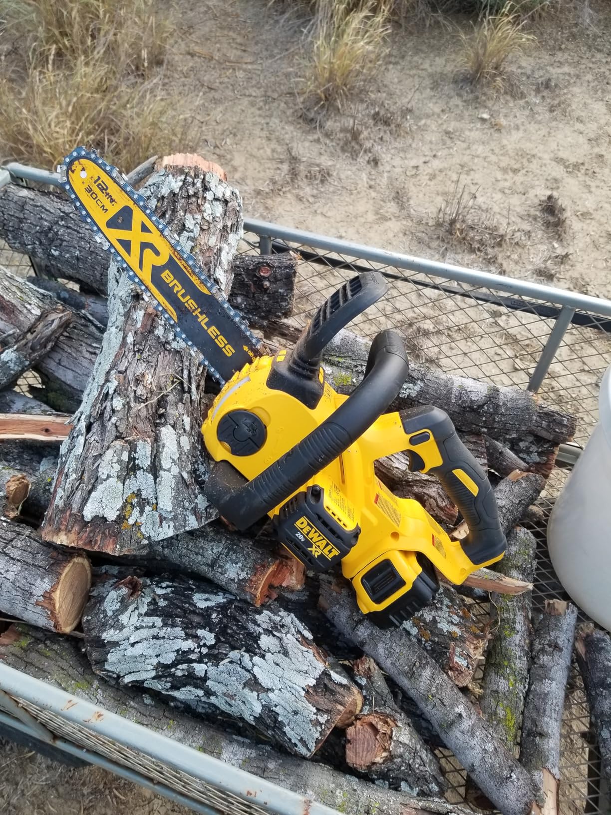 DEWALT 20V MAX* XR Chainsaw Kit, 5-Ah Battery, 12-Inch (DCCS620P1) Customer Review DEWALT 20V MAX* XR Chainsaw Kit, 5-Ah Battery, 12-Inch (DCCS620P1) - Customer Photo 1