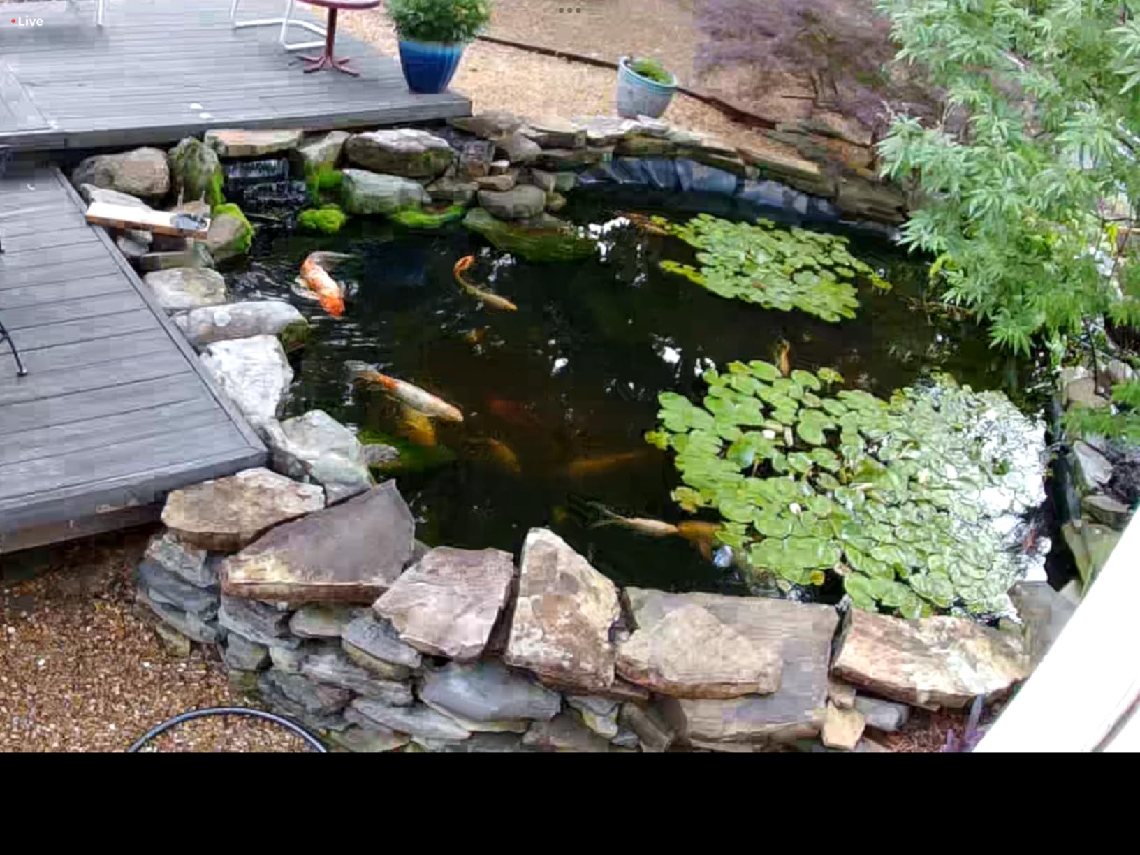 Aquascape 95053 UltraKlean 2000 Gallon Biological Pressure Filter with 14 Watt UV Clarifier Sterilizer for Pond Water Feature, 2,700 GPH Black customer photo 1