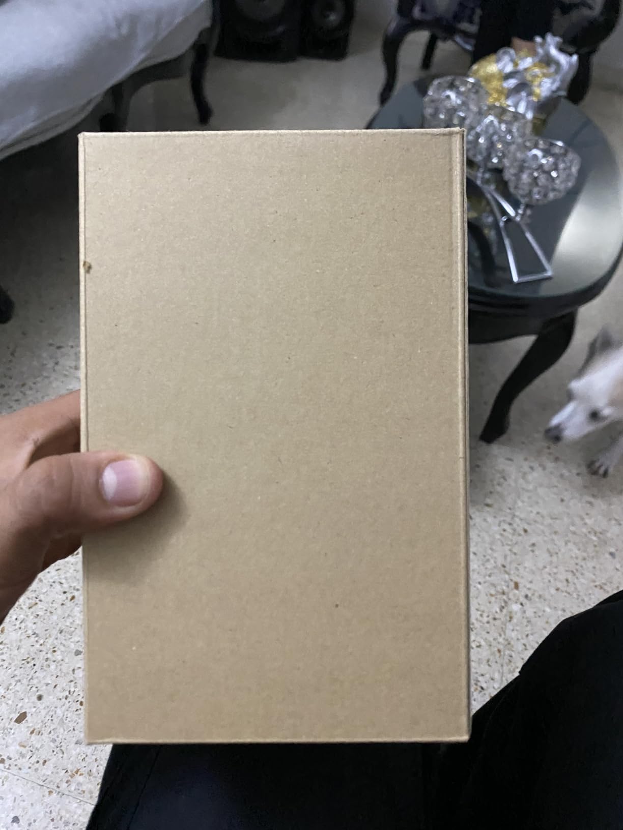 Sony E 55-210mm F4.5-6.3 Lens for Sony E-Mount Cameras (Black) Customer Review Sony E 55-210mm F4.5-6.3 Lens for Sony E-Mount Cameras (Black) - Customer Photo 2