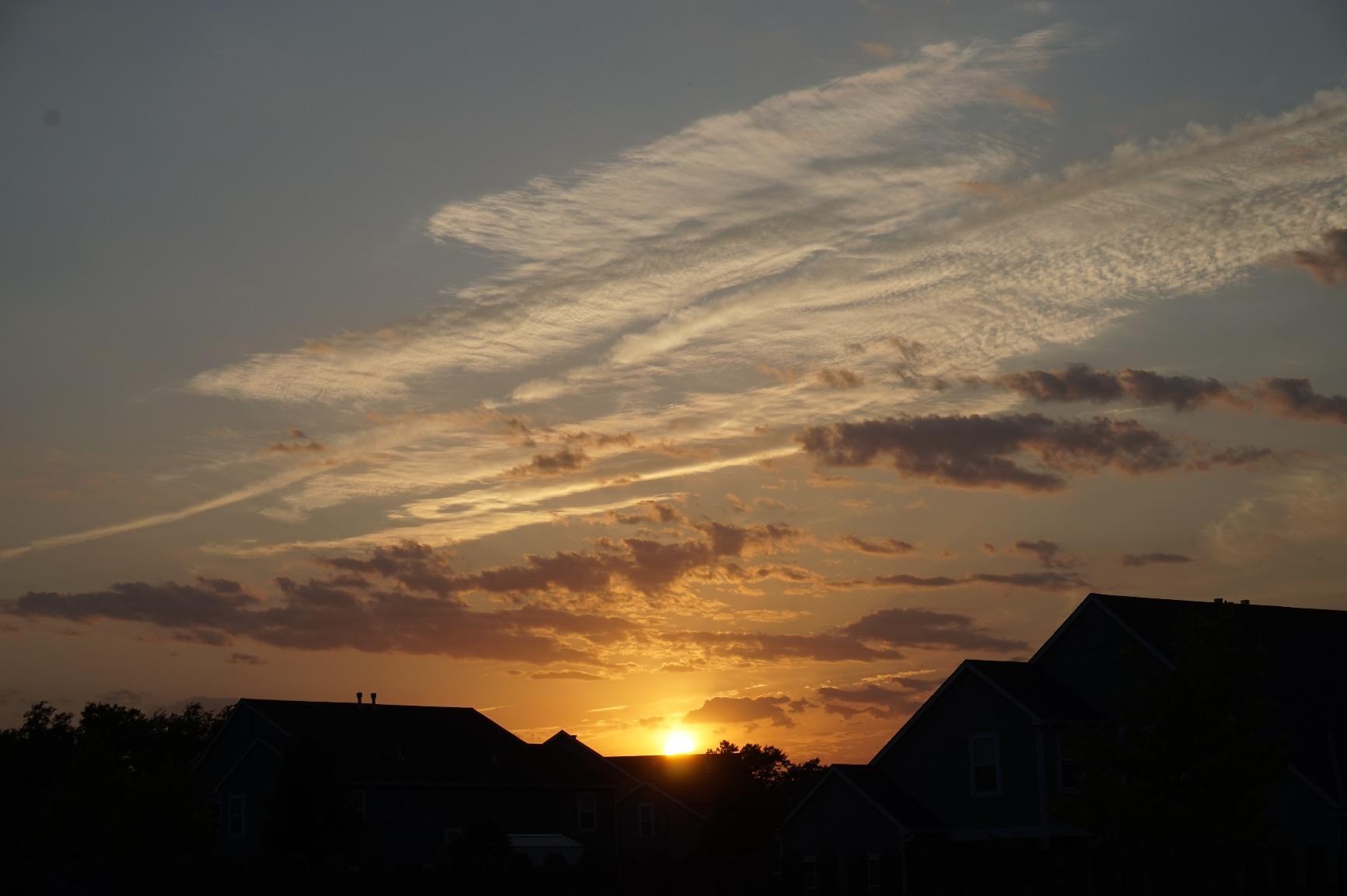 Sony Alpha a5000 Mirrorless Digital Camera with 16-50mm OSS Lens (White) - Customer Photo 1