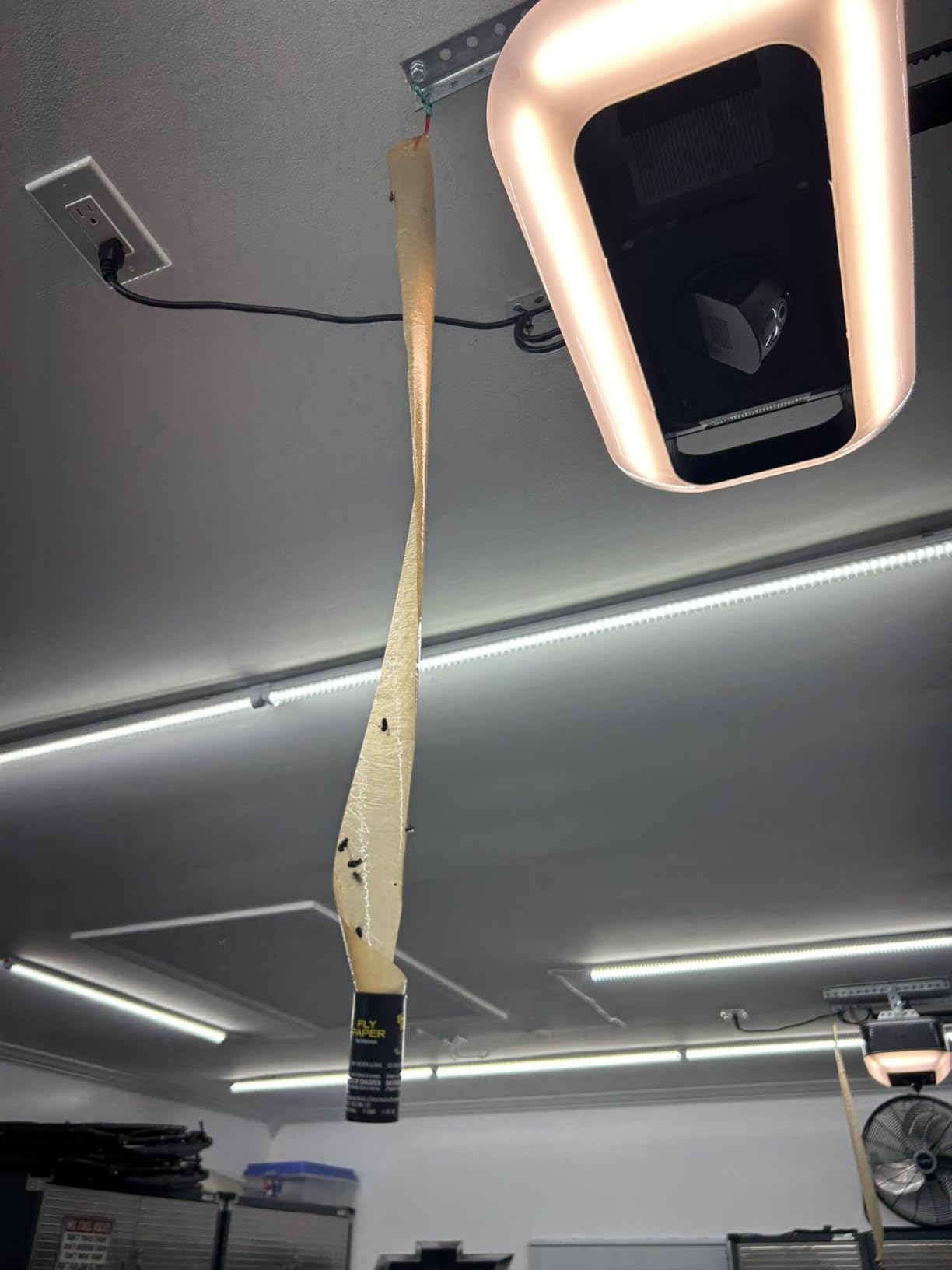 Black Flag Fly Stick, Trap Houseflies and Flying Insects, Pack of 6 Customer Review Black Flag Fly Stick, Trap Houseflies and Flying Insects, Pack of 6 - Customer Photo 2