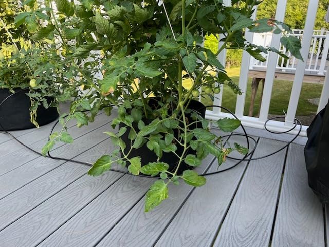 Raindrip R560DP Drip Watering System, Automatic Drip Irrigation System with Timer for Containers and Hanging Baskets, Waters up to 20 Plants, Includes 20 Drippers, Black - Customer Photo 2