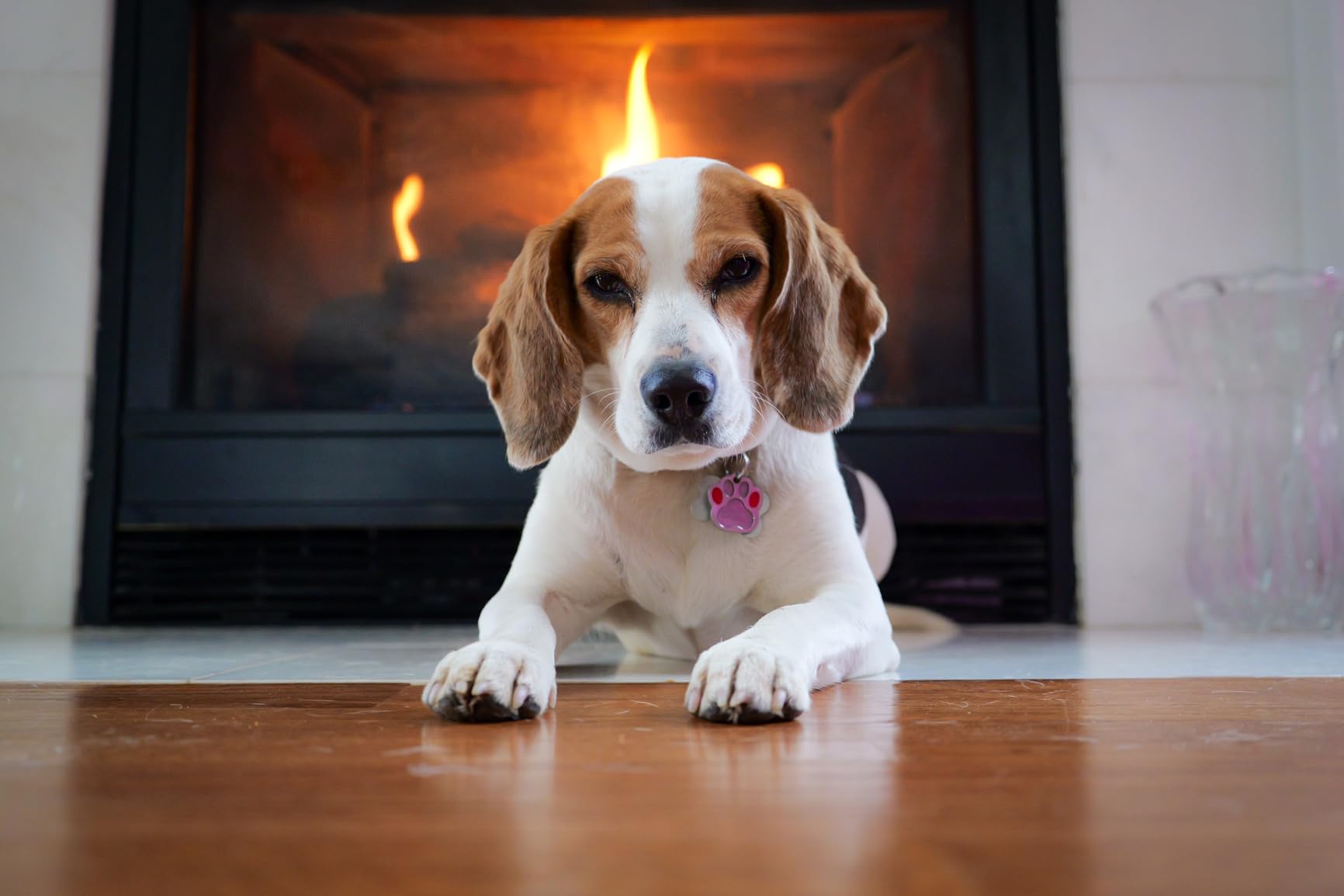 Panasonic Lumix S Pro 16-35mm F4 Wide Zoom Lens, Full-Frame L Mount, Dust/Splash/Freeze-Resistant for Lumix S Series Mirrorless Cameras - S-R1635 (USA) - Customer Photo 1