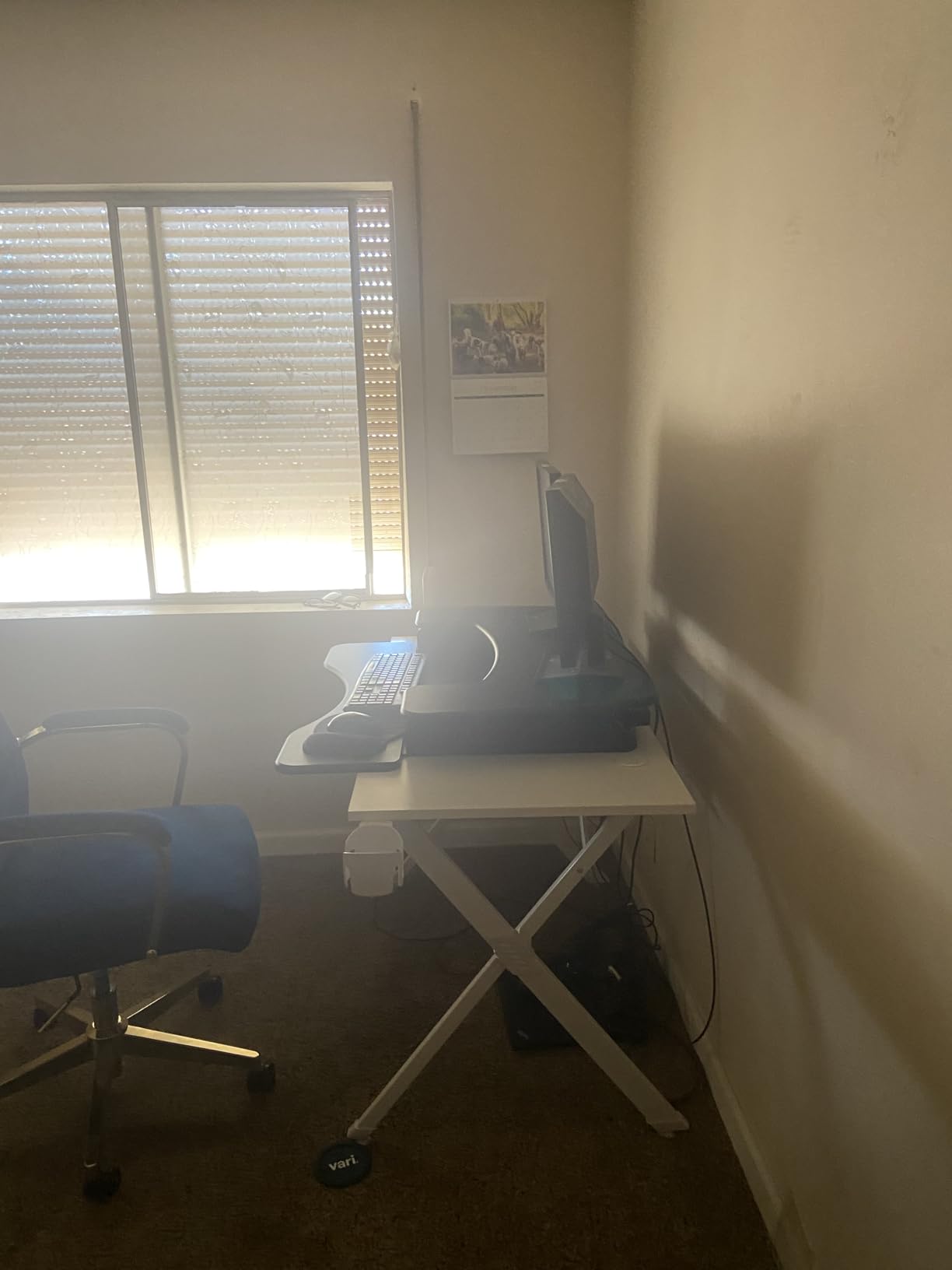 Vari VariDesk Pro Plus 36 - Adjustable Desk Converter with 11 Height Settings - Laptop Sit Stand Desk Riser for Home Office, Table Tops, Workspace - Fully Assembled with Spring Loaded Lift - Black - Customer Photo 1