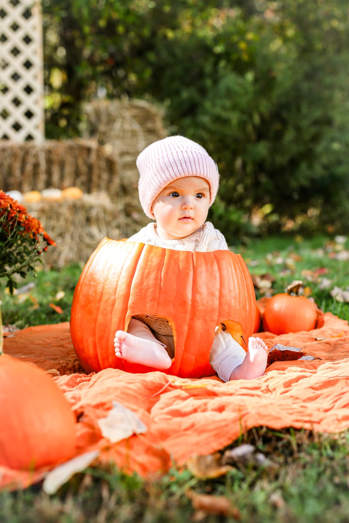 Sigma 50mm F1.4 Art DG HSM Lens for Canon - Customer Photo 1