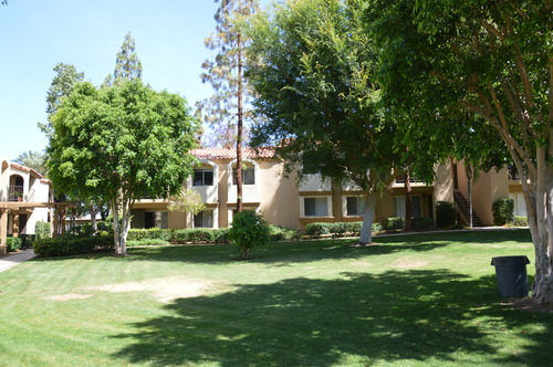 Nikon D3200 24.2 MP CMOS Digital SLR with 18-55mm f/3.5-5.6 AF-S DX NIKKOR Zoom Lens (Renewed) - Customer Photo 1