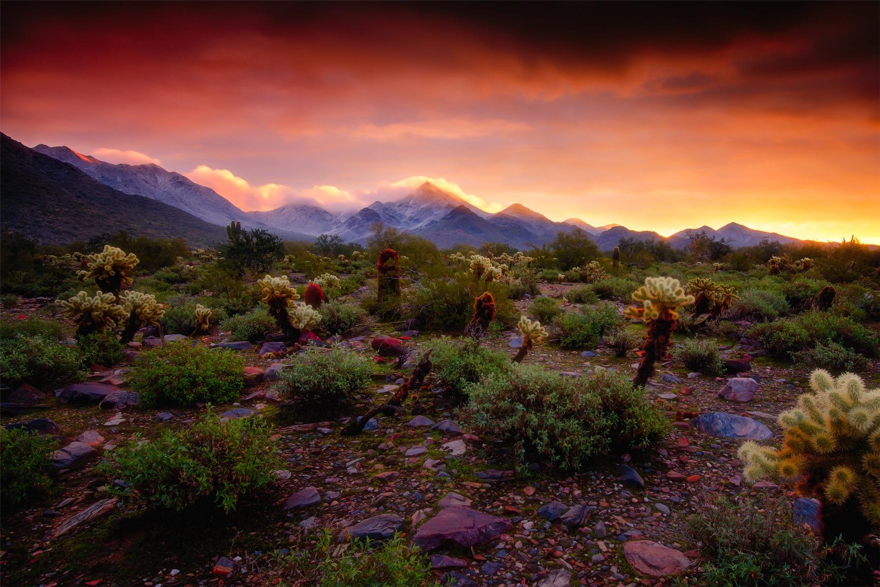 Canon EF 16-35mm f/4L is USM Lens Customer Review Canon EF 16-35mm f/4L is USM Lens - Customer Photo 1