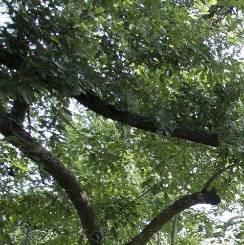 Canon EF 16-35mm f/4L is USM Lens Customer Review Canon EF 16-35mm f/4L is USM Lens - Customer Photo 2