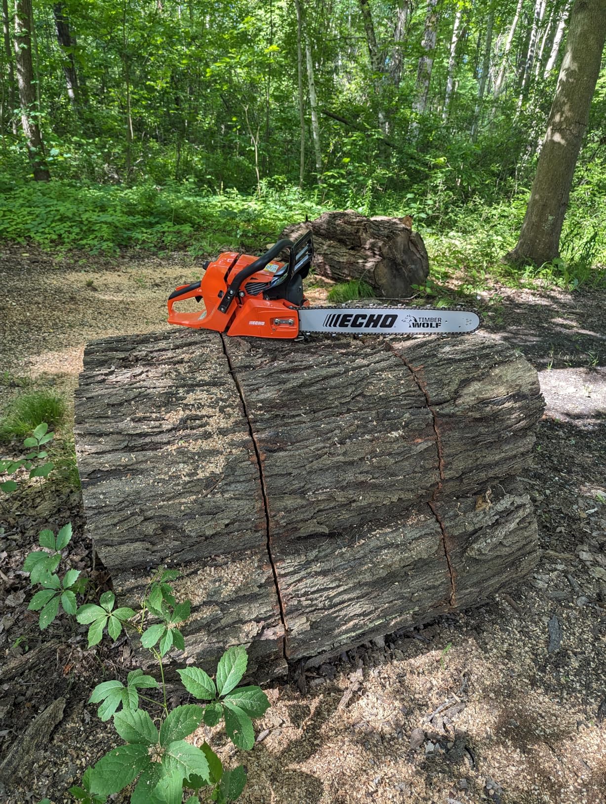 Echo CS-590-20AA 20 in. 59.8 cc Gas Chainsaw - Customer Photo 2