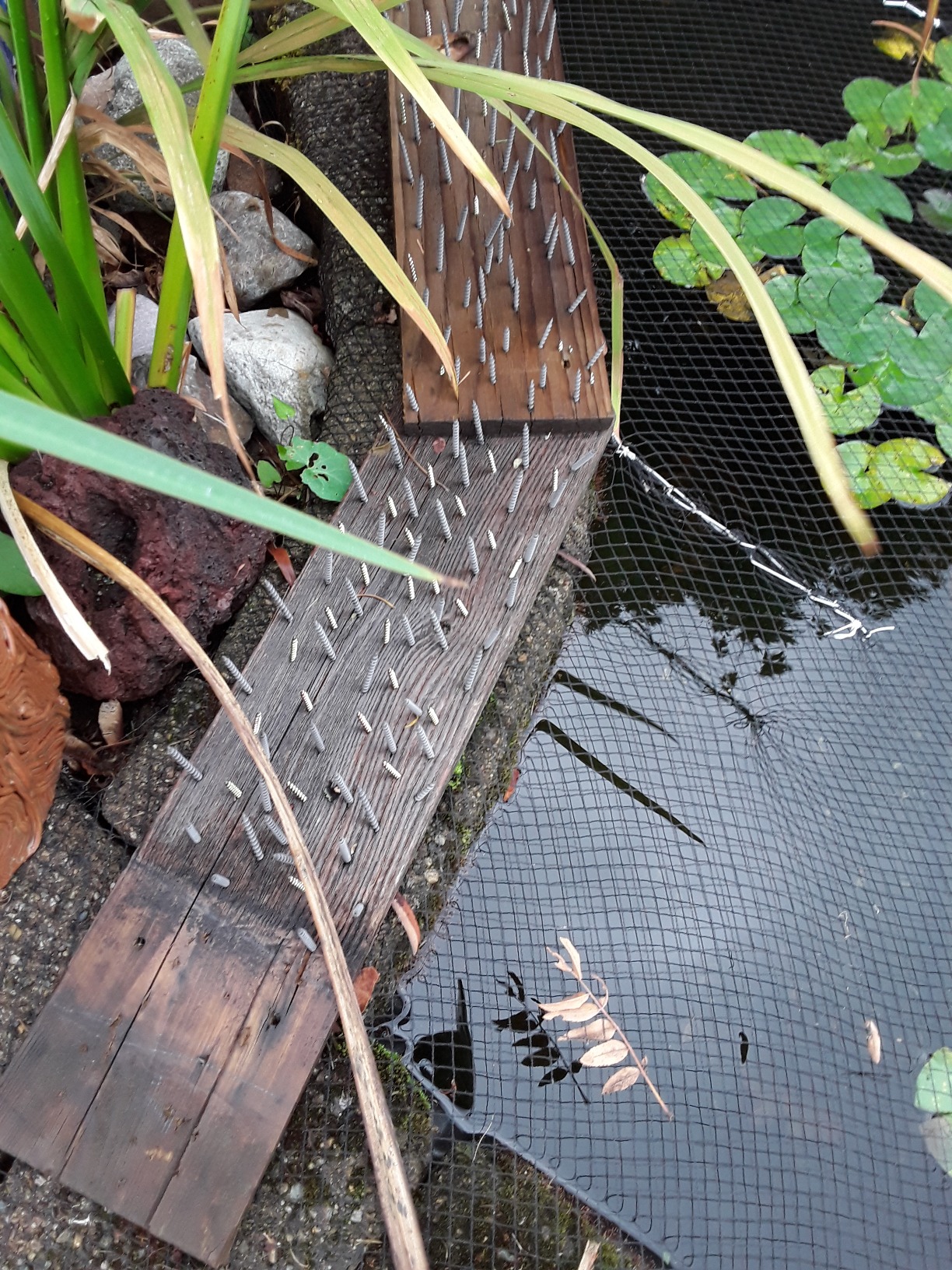 Patriot - Garden Kit - Customer Photo 1