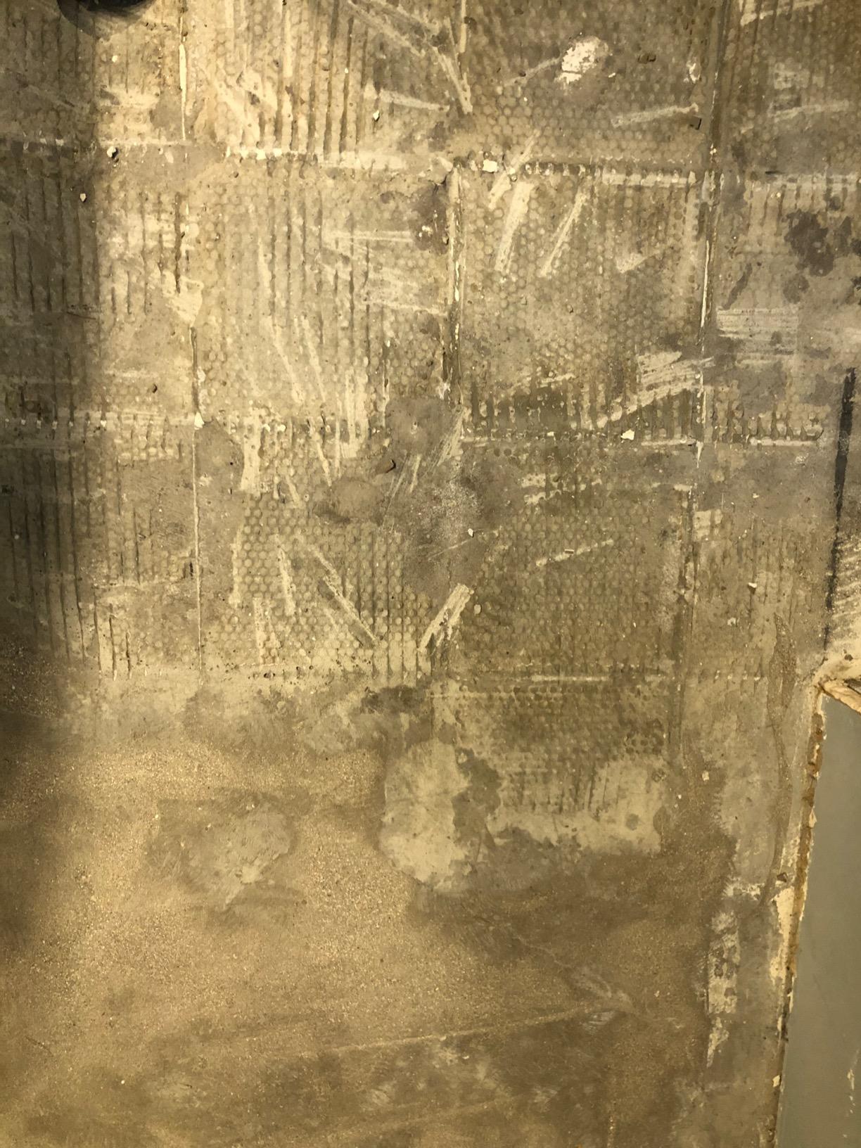 DEWALT DWV010 HEPA Dust Extractor with Automatic Filter Cleaning, 8-Gallon - Customer Photo 1