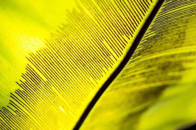 Canon EF 100-400mm f/4.5-5.6L is II USM Lens, Lens Only - Customer Photo 2