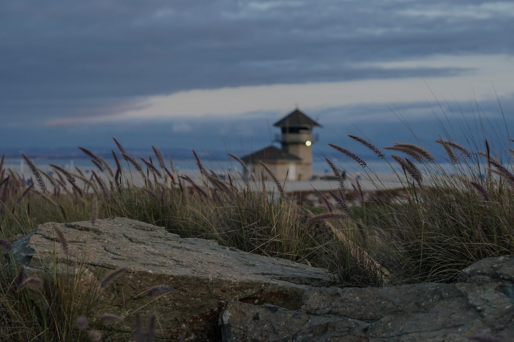 ZEISS Loxia 35mm f/2 Full Frame Manual Focus for Sony E Mount, Black - Customer Photo 4