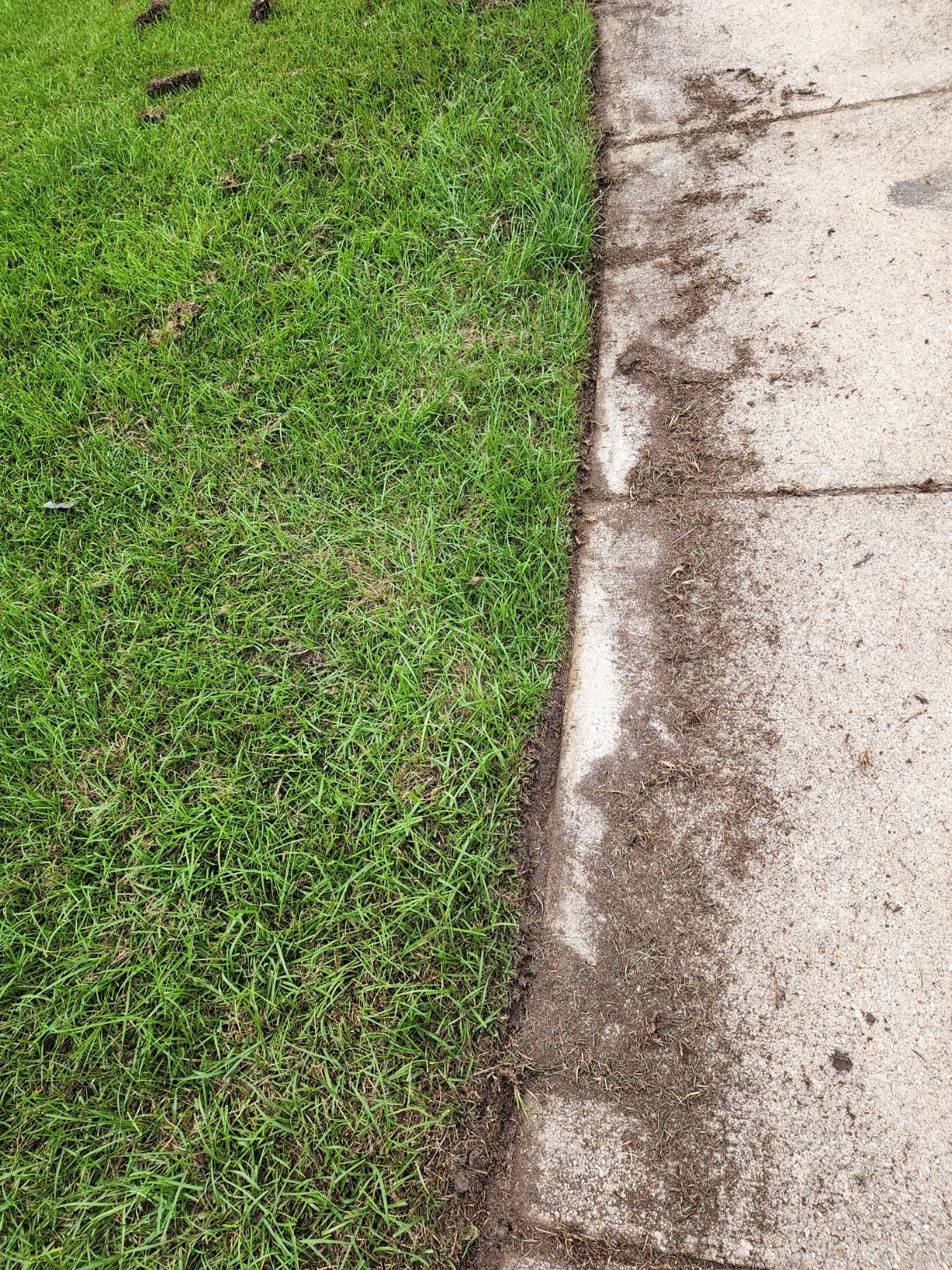 WORX WG896 12 Amp 7.5 Inch Corded Electric Lawn Edger & Trencher, Orange and Black - Customer Photo 1