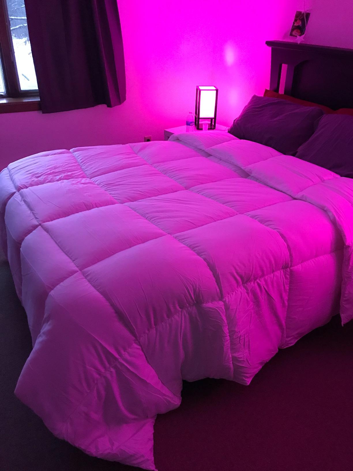 Utopia Bedding Comforter Duvet Insert, Quilted Comforter with Corner Tabs, Box Stitched Down Alternative Comforters Queen Size (White) - Customer Photo 1