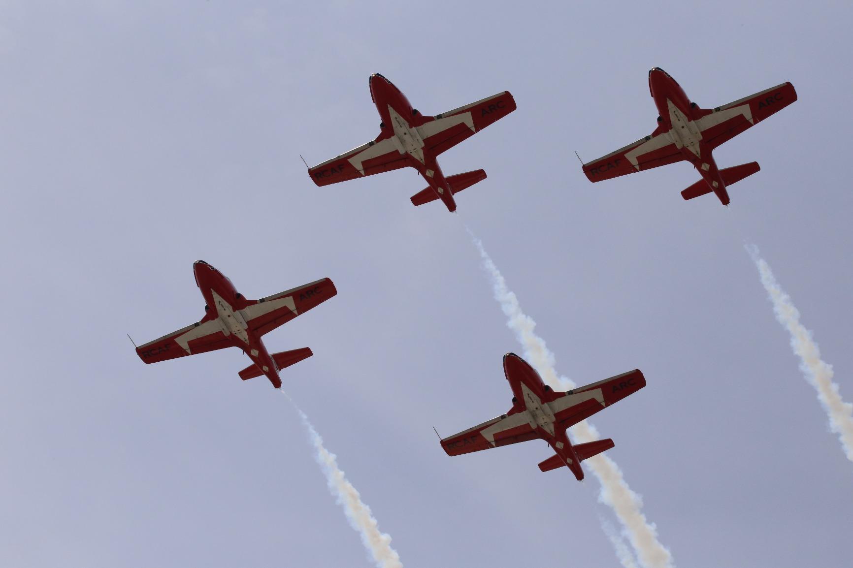 Sigma 150-600mm 5-6.3 Contemporary DG OS HSM Lens for Nikon Customer Review Sigma 150-600mm 5-6.3 Contemporary DG OS HSM Lens for Nikon - Customer Photo 2