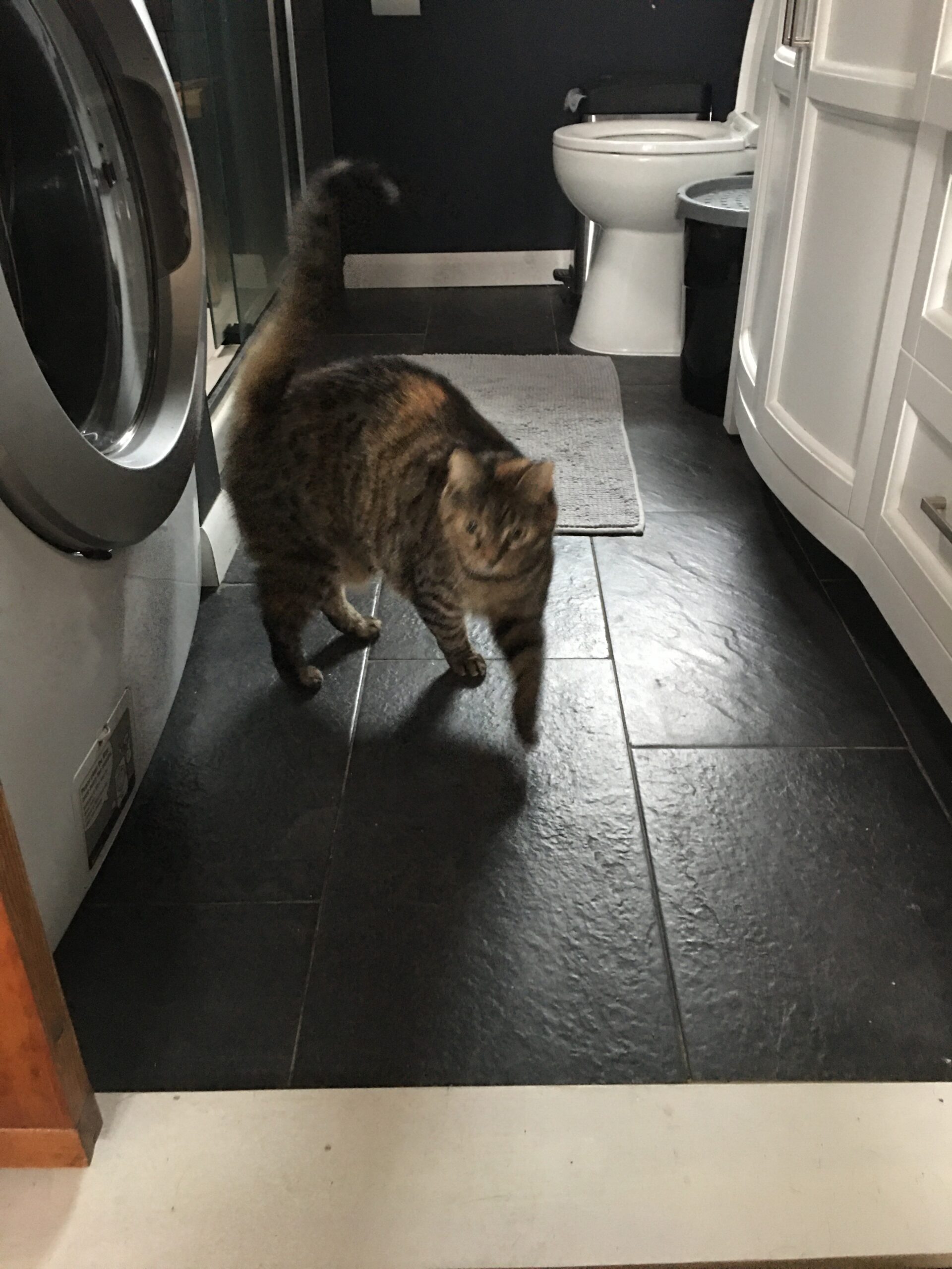 SunTouch TapeMat Electric Floor Heating Mat, 10 Sq. Ft., 2' x 5', (120V), Plain - Customer Photo 2