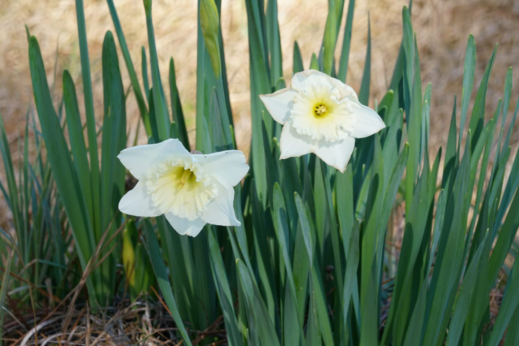 Sony SEL24240 FE 24-240mm f/3.5-6.3 OSS Zoom Lens for Mirrorless Cameras Customer Review Sony SEL24240 FE 24-240mm f/3.5-6.3 OSS Zoom Lens for Mirrorless Cameras - Customer Photo 2