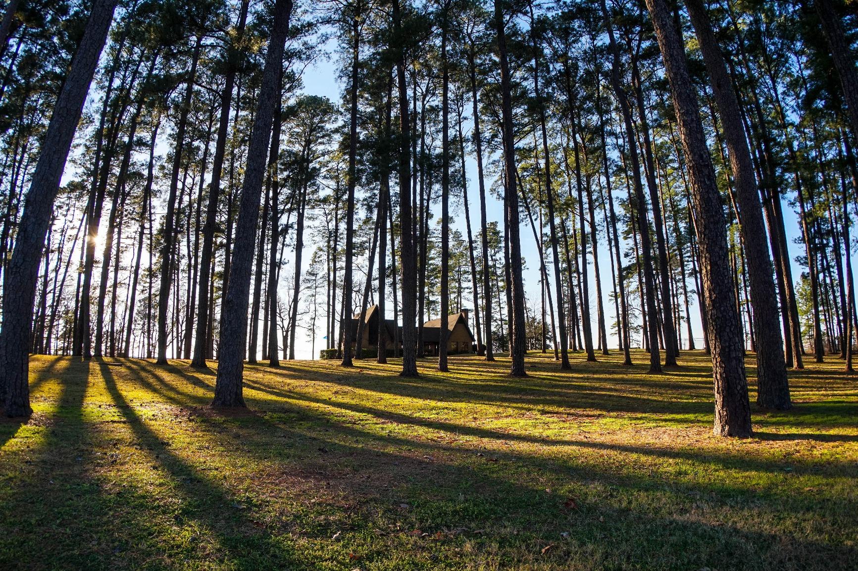 Sony VCLECF2 10-13mm f/2.8-22 Fisheye Lens Fixed Prime Fisheye Converter for Sony Mirrorless Cameras, Black - Customer Photo 1