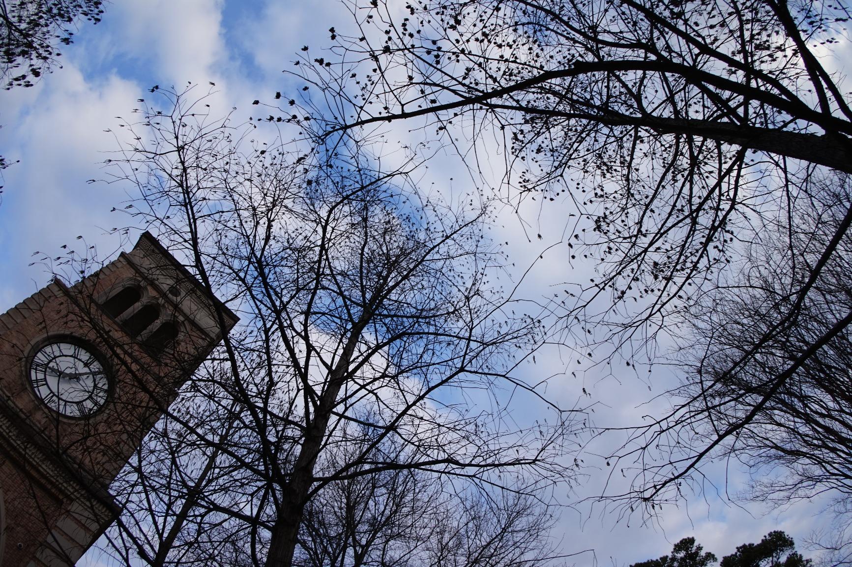 Sony VCLECF2 10-13mm f/2.8-22 Fisheye Lens Fixed Prime Fisheye Converter for Sony Mirrorless Cameras, Black - Customer Photo 2