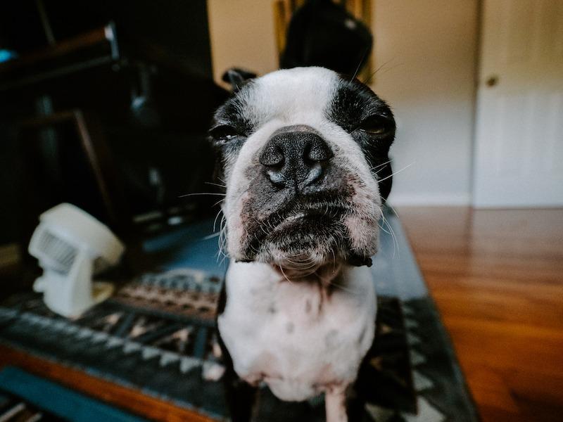 OM SYSTEM Olympus M.Zuiko Digital ED 7-14mm F2.8 Pro Lens, for Micro Four Thirds Cameras - Customer Photo 1