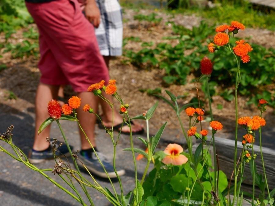 Panasonic LUMIX G7 4K Digital Camera, with LUMIX G VARIO 14-42mm Mega O.I.S. Lens, 16 Megapixel Mirrorless Camera, 3-Inch LCD, DMC-G7KK (Black) Customer Review Panasonic LUMIX G7 4K Digital Camera, with LUMIX G VARIO 14-42mm Mega O.I.S. Lens, 16 Megapixel Mirrorless Camera, 3-Inch LCD, DMC-G7KK (Black) - Customer Photo 2