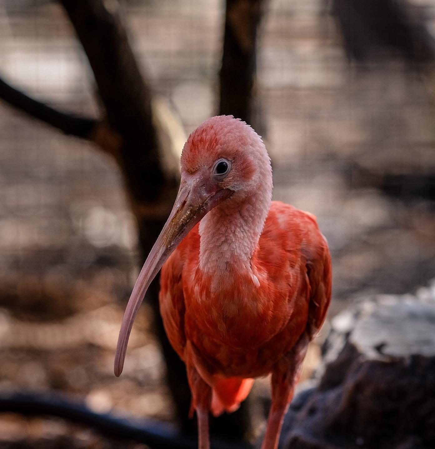 Fujifilm XF90mmF2 R LM WR - Customer Photo 2