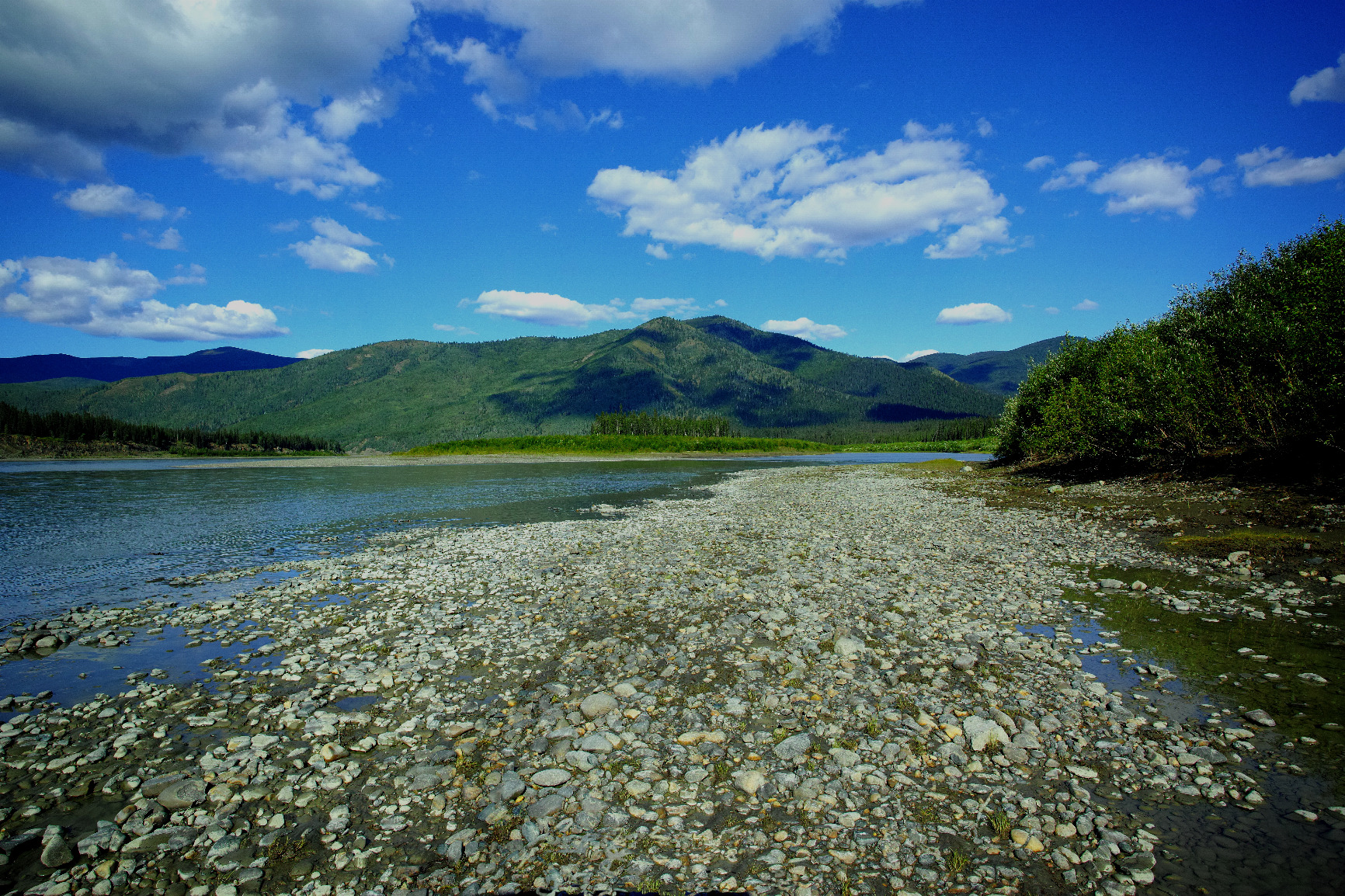 Sigma DP0 Quattro Compact Digital Camera - Customer Photo 4