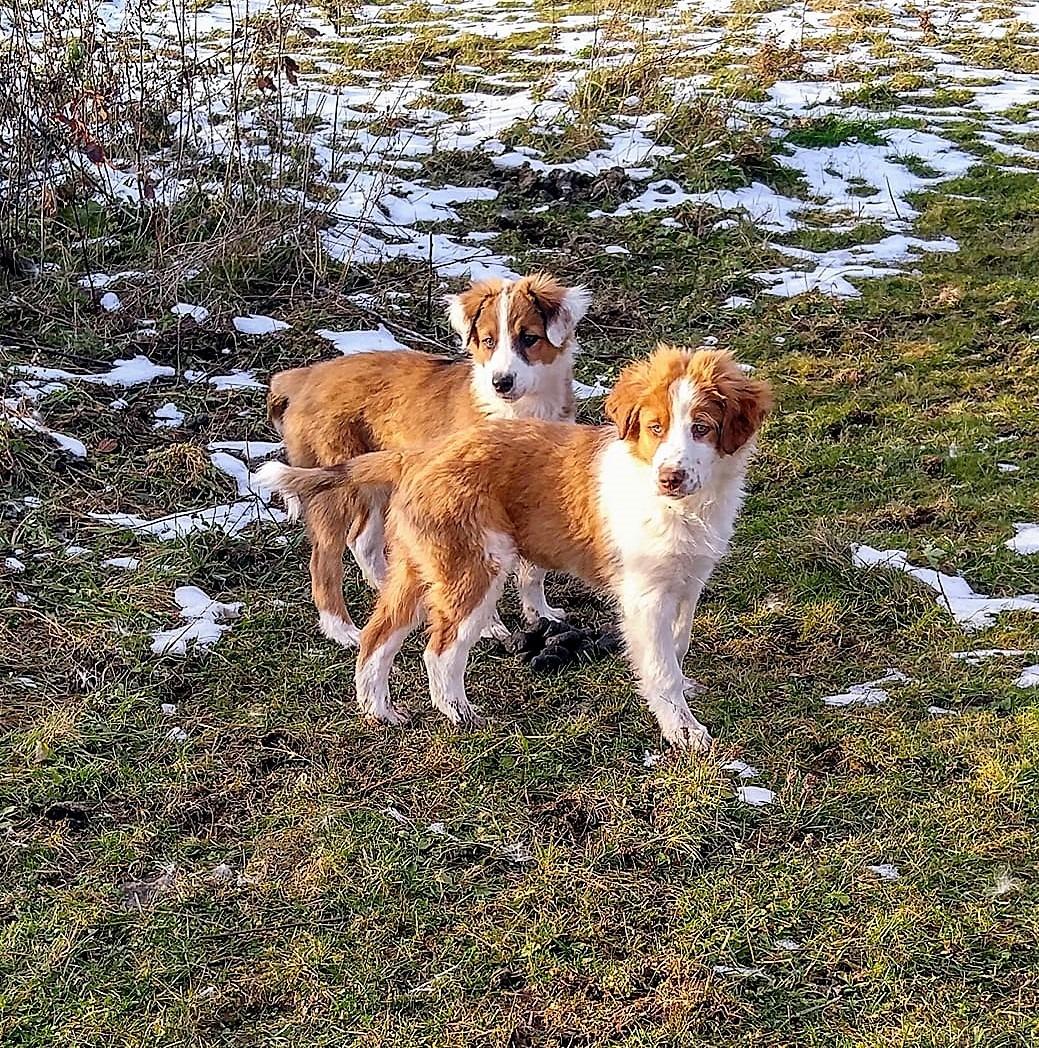 Product Customer Review Product - Customer Photo 1