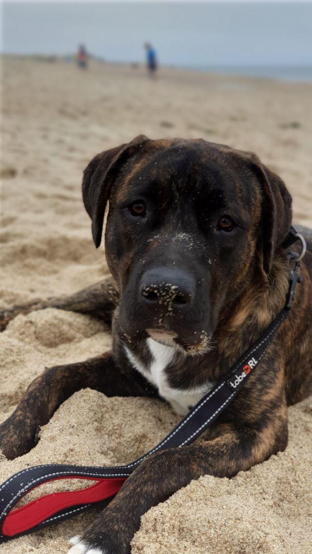 Product Customer Review Product - Customer Photo 2