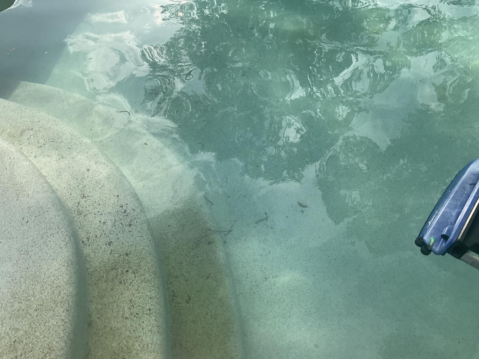 Dolphin Premier Robotic Pool Cleaner (2026 Model) with Multimedia, Oversized Leaf Bag, Standard & Ultrafine Filters, Weekly Timer, Waterline Cleaning & More — for In-ground Swimming Pools up to 50ft Customer Review Dolphin Premier Robotic Pool Cleaner (2026 Model) with Multimedia, Oversized Leaf Bag, Standard & Ultrafine Filters, Weekly Timer, Waterline Cleaning & More — for In-ground Swimming Pools up to 50ft - Customer Photo 2