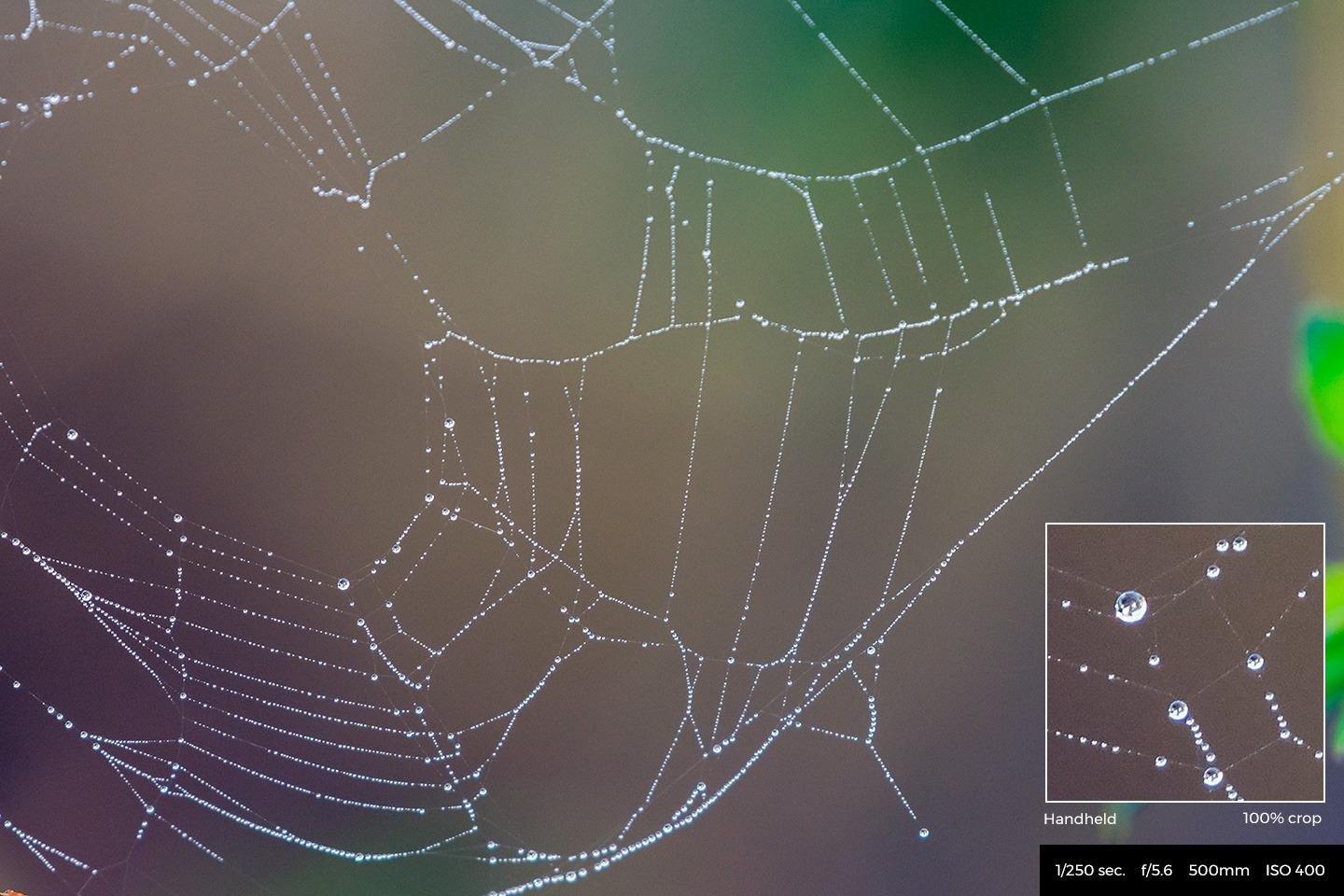 Nikon AF-S FX NIKKOR 200-500mm f/5.6E ED Vibration Reduction Zoom Lens with Auto Focus for Nikon DSLR Cameras Customer Review Nikon AF-S FX NIKKOR 200-500mm f/5.6E ED Vibration Reduction Zoom Lens with Auto Focus for Nikon DSLR Cameras - Customer Photo 1