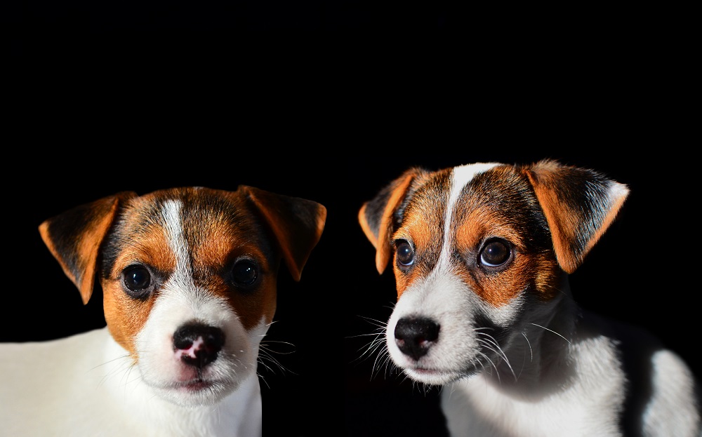 Tamron AF 18-200mm F/3.5-6.3 Di-II VC All-in-One Zoom for Nikon APS-C Digital SLR Black - Customer Photo 1