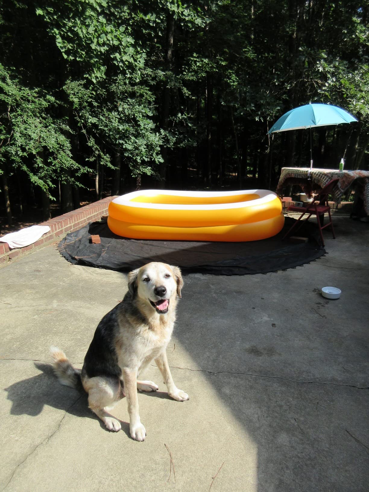 Intex 57181EP Swim Center Inflatable Family Pool: 159 Gallon Capacity – 90