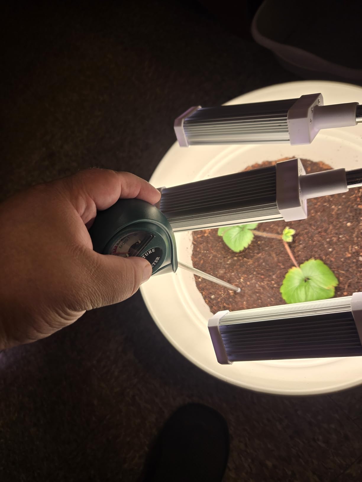 XLUX Soil Moisture Meter, Plant Water Monitor, Hygrometer Sensor for Gardening, Farming, Indoor and Outdoor Plants, No Batteries Required - Customer Photo 2