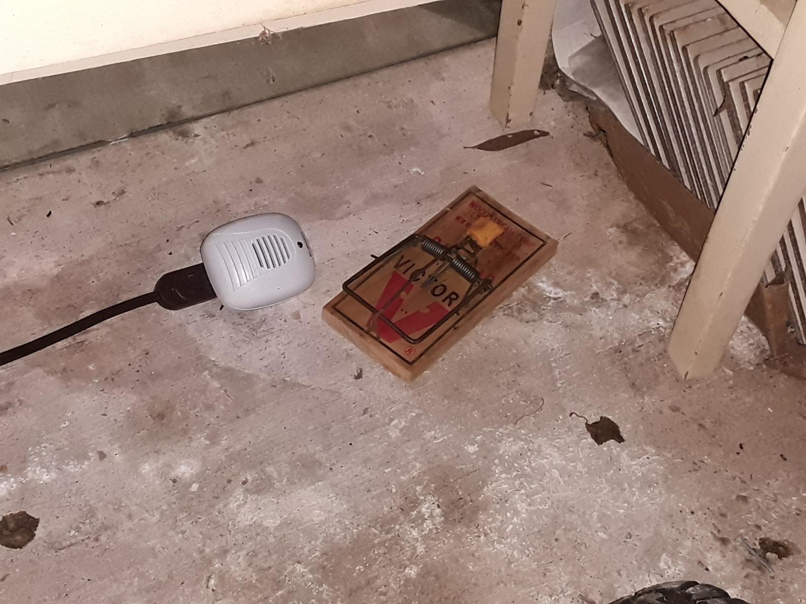 Bell + Howell Ultrasonic Pest Repeller Home Kit (Pack of 3), Ultrasonic Pest Repeller, Pest Repellent for Home, Bedroom, Office, Kitchen, Warehouse, Hotel, Safe for Human and Pet Customer Review Bell + Howell Ultrasonic Pest Repeller Home Kit (Pack of 3), Ultrasonic Pest Repeller, Pest Repellent for Home, Bedroom, Office, Kitchen, Warehouse, Hotel, Safe for Human and Pet - Customer Photo 2