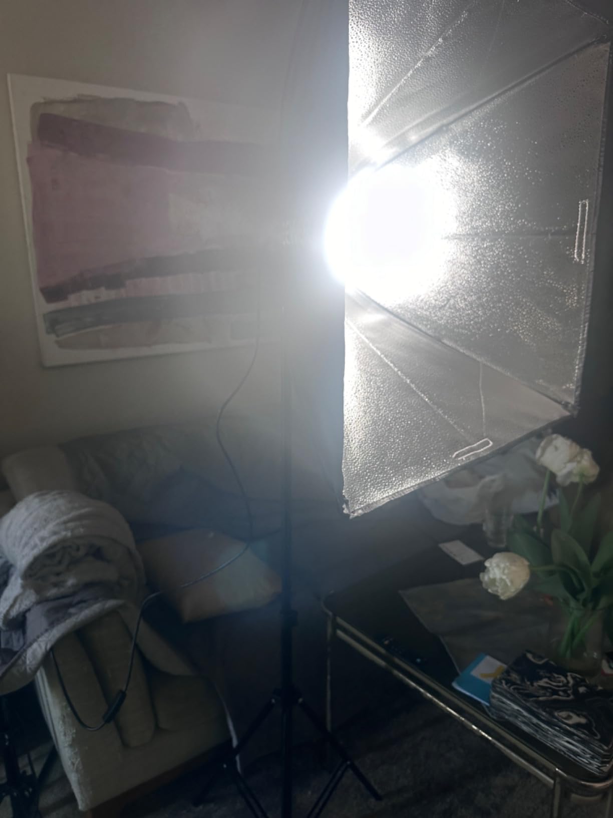 NEEWER Photography Lighting Kit with Backdrops, 8.5x10ft Backdrop Stands, 800W Equivalent LED Umbrella Softbox Continuous Lighting Customer Review NEEWER Photography Lighting Kit with Backdrops, 8.5x10ft Backdrop Stands, 800W Equivalent LED Umbrella Softbox Continuous Lighting - Customer Photo 1