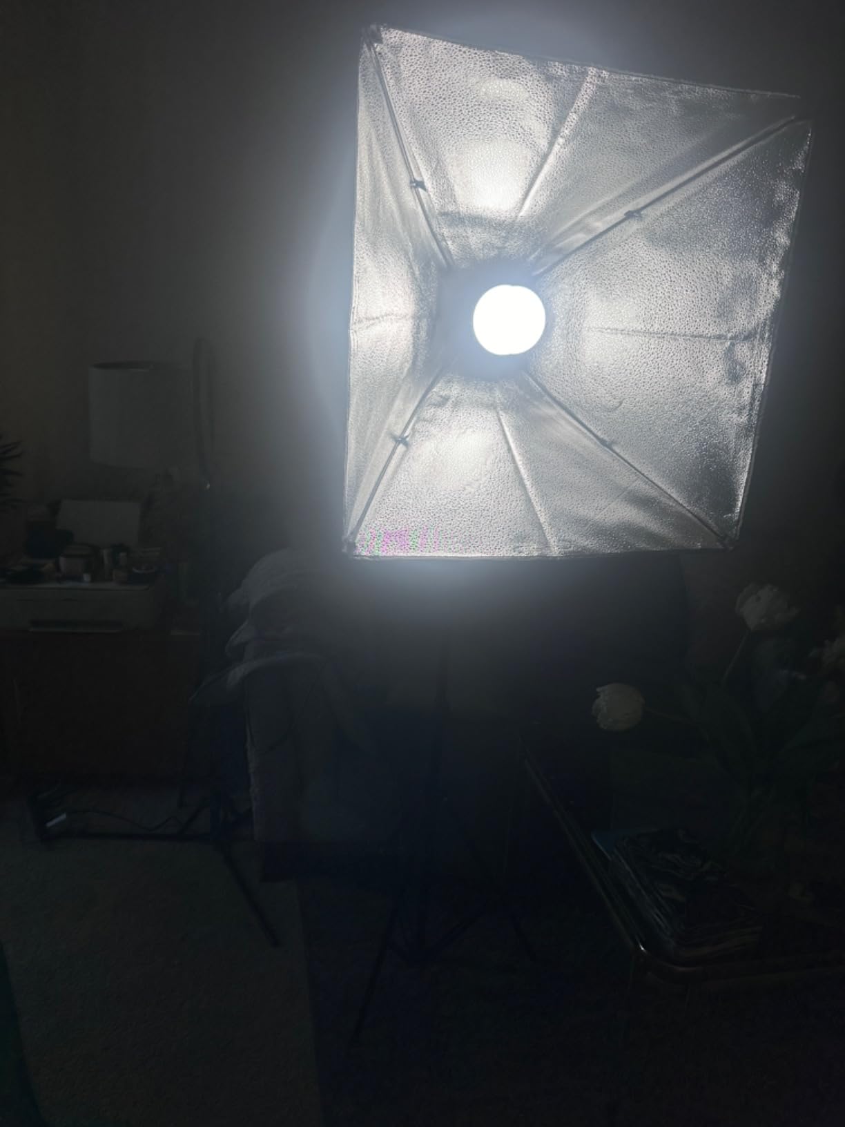 NEEWER Photography Lighting kit with Backdrops, 8.5x10ft Backdrop Stands, UL Certified 5700K 800W Equivalent 24W LED Umbrella Softbox Continuous Lighting, Photo Studio Equipment for Photo Video Shoot Customer Review NEEWER Photography Lighting kit with Backdrops, 8.5x10ft Backdrop Stands, UL Certified 5700K 800W Equivalent 24W LED Umbrella Softbox Continuous Lighting, Photo Studio Equipment for Photo Video Shoot - Customer Photo 2