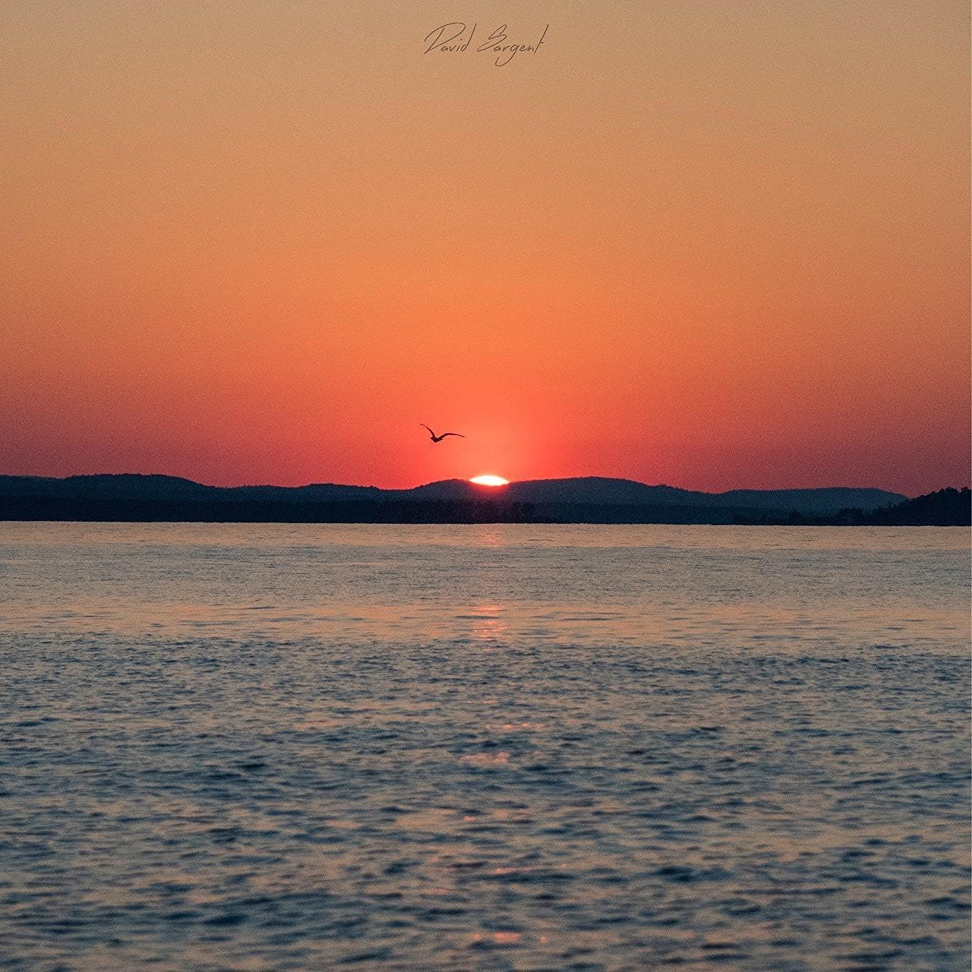 Nikon D500 DX-Format Digital SLR (Body Only), Base - Customer Photo 4