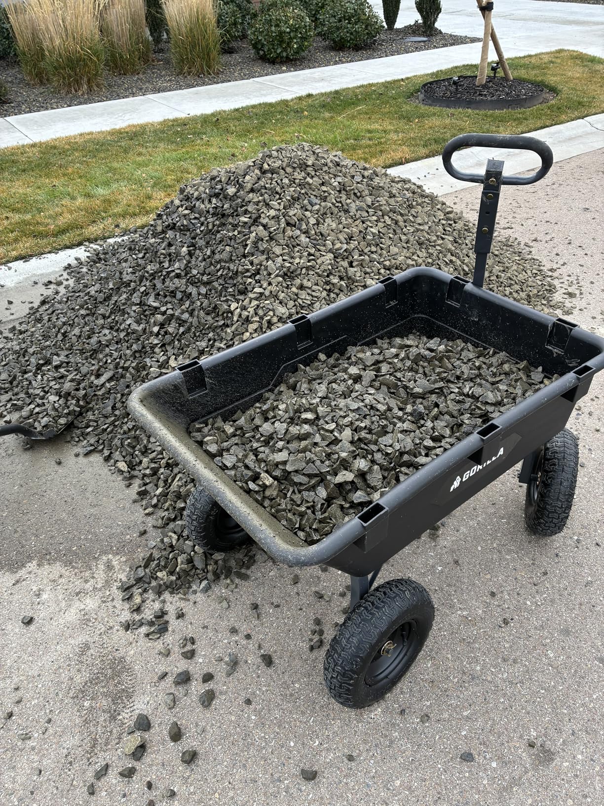 Gorilla Carts Poly Garden Dump Cart, 4 Cu Ft Tub, 600 lb Haul Capacity, Black - Heavy-Duty Utility Wagon with Quick-Release Dumping & Pneumatic Tires for Yard, Landscaping and Gardening - Customer Photo 2