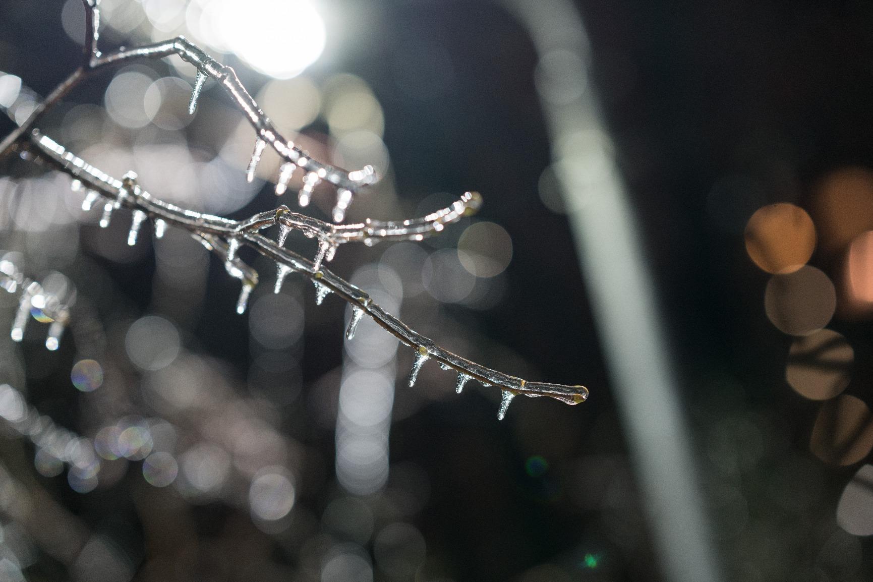 Sony FE 85mm f/1.4 GM Lens - Customer Photo 3