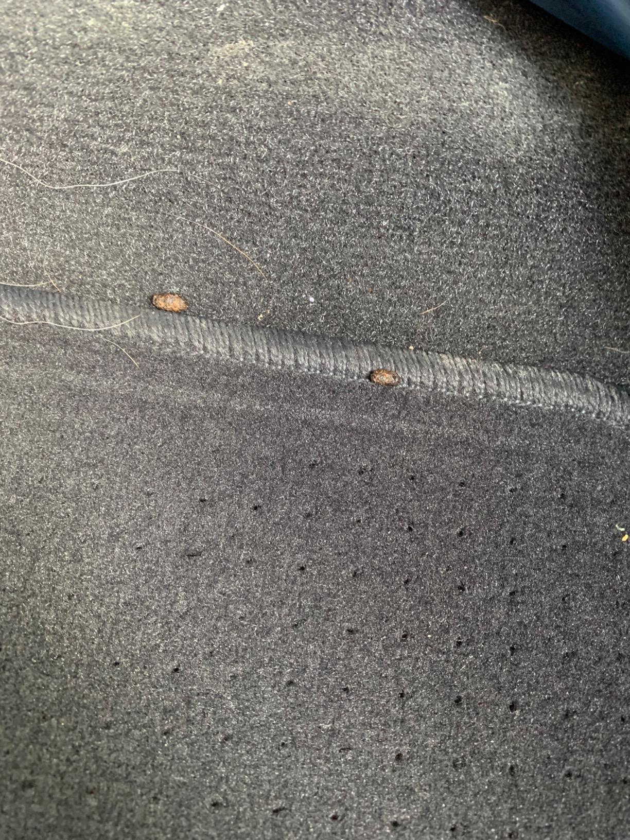 Exterminators Choice Vehicle Defense Spray - 32 Ounce Peppermint Car Spray for Mice & Rats - Rat Protection for Car Engine - Anti Squirrel Solution for Vehicles & Trucks - Customer Photo 1