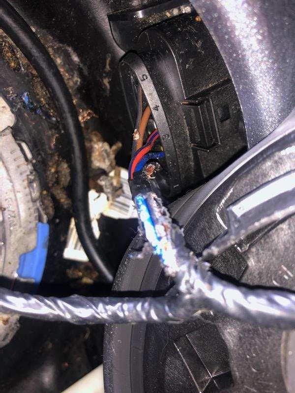 Exterminators Choice Vehicle Defense Spray - 32 Ounce Peppermint Car Spray for Mice & Rats - Rat Protection for Car Engine - Anti Squirrel Solution for Vehicles & Trucks - Customer Photo 2