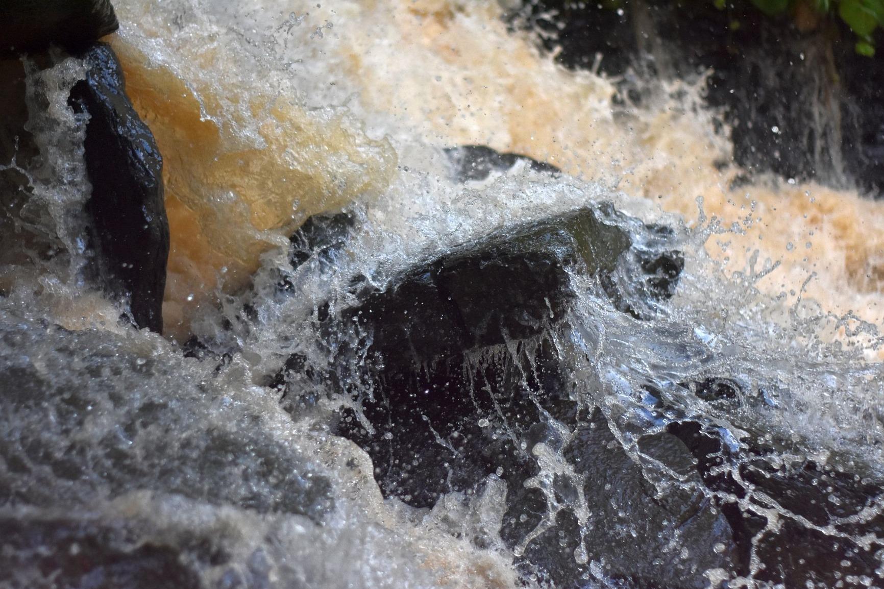 YONGNUO YN50mm F1.8N Standard Prime Lens, Large Aperture Auto Manual Focus AF MF for Nikon DSLR Cameras - Customer Photo 1